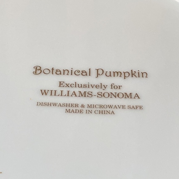 Sonoma Williams Botanical Pumpkin coupe soup bowl 8.75” x 2” deep - Picture 5 of 8